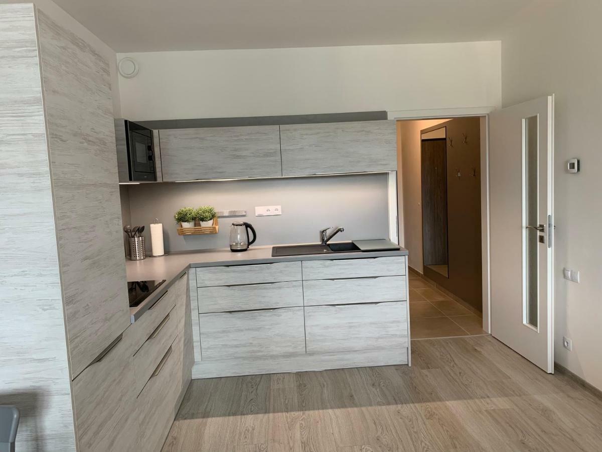 Apartman Denisa Lipno nad Vltavou Exteriör bild