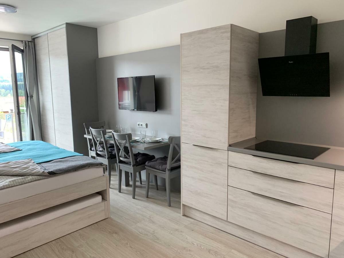 Apartman Denisa Lipno nad Vltavou Exteriör bild